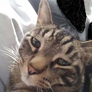 Meet your Posher, Georgette